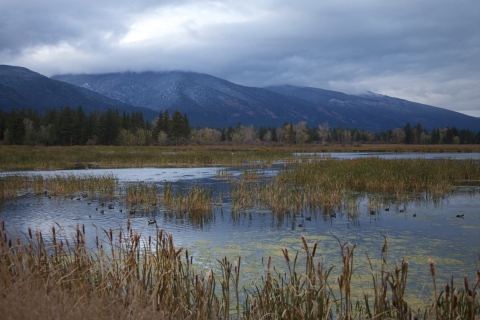 Landscape of wetlands with blue mountains and dark blue skies reflected in the water.