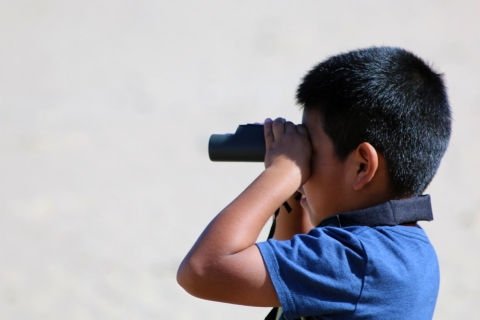 Young boy peers through binoculars to spot the western snowy plovers on the beach