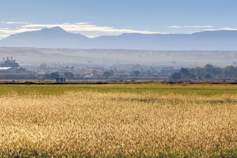 Mountains fade in the distant before a field of tan grass.