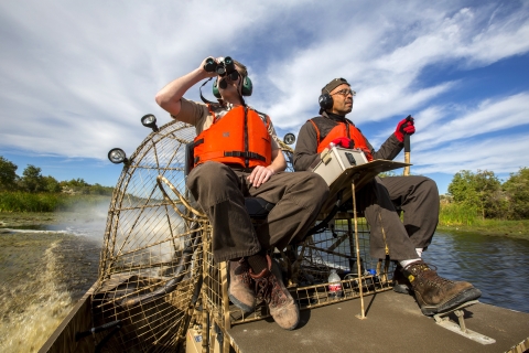 Two U.S. Fish and Wildlife Service employees in uniform wearing personal flotation devices navigating the marsh on an airboat