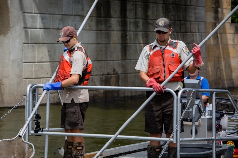 Electrofishing for invasive invasive carp