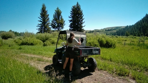 FWS employee, Kari Cieszkiewicz, an education and outreach coordinator, loading utv at National Elk Refuge