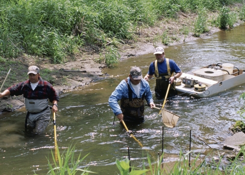 Fisheries | FWS.gov