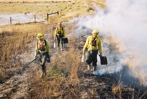 three wildland firefighters walk along a prescribed fire line