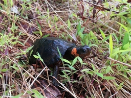 Our new images and documents are featured here.