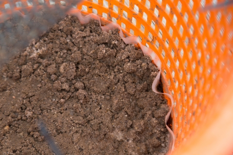 Close up shot of sandy in lined orange mesh basket