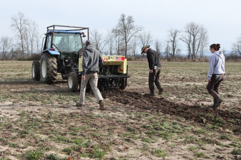 Three people in a field walking behind a tractor pulling a seed drill