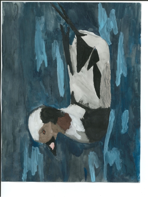 Adison Runzi 3rd Place 4-6 grade Long-tailed Duck