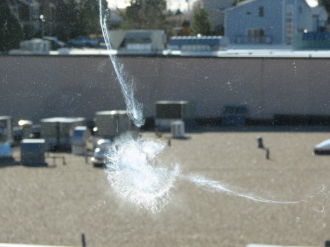imprint of a bird on a window after colliding with it