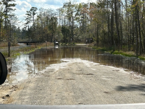 A dirt road is covered in water from an adjacent creek. A kiosk stands at the end of the flooded road.