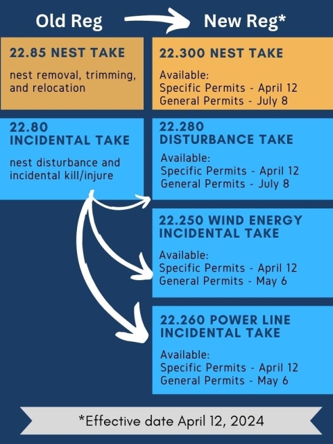 Timeline of rollout of new eagle rule, effective April 12th, 2024. Nest take and nest disturbance specific permits will be available April 12, and general permits will be available July 8. Eagle incidental take specific permits for wind energy and power lines will be available April 12, and general permits will be available May 6.