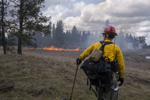 A firefighter watches a prescribed burn.