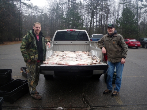 two undercover agents pose with a truck full of recovered illegally harvested fish