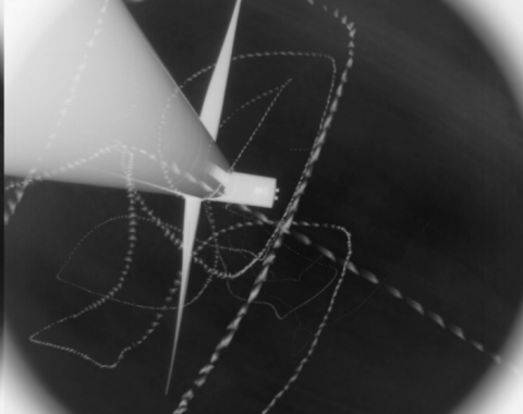 An image showing the tracks of birds avoiding wind-turbine blades