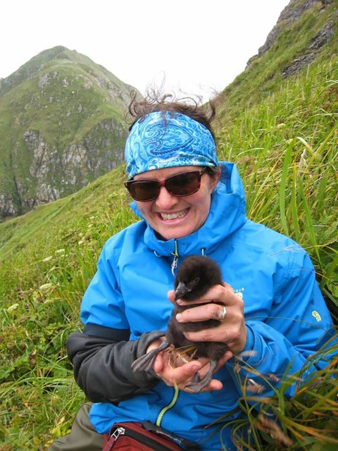 Biologist Heather Renner holds a puffin chick with both hands on the side of a steep slop with green vegetation and a hilltop in the background.