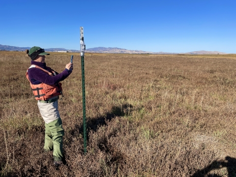 USGS biologist Laurie Hall sets up an Automatic Recording Unit at Klamath Marsh National Wildlife Refuge. 