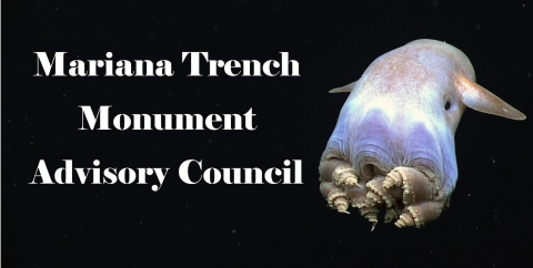 Dumbo octopus swimming and text over black background stating "Mariana Trench Monument Advisory Council"