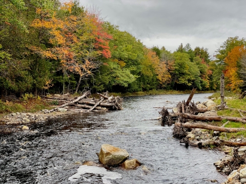 Engineered log-jam (ELJ) on the Narraguagus River as part of a pilot Atlantic Salmon habitat restoration project.