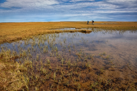 two people walking along the grassy tundra