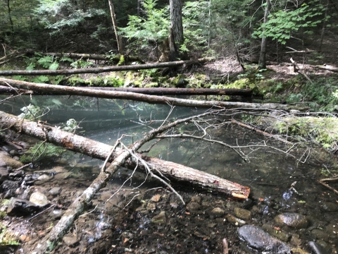 Ground-water fed pool in a side channel of the Narraguagus River with large logs placed over the pool for shaded, cool water habitat