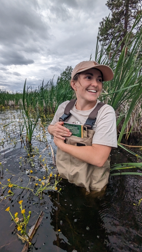 A biologist holds field guides close while wading into a wetland.