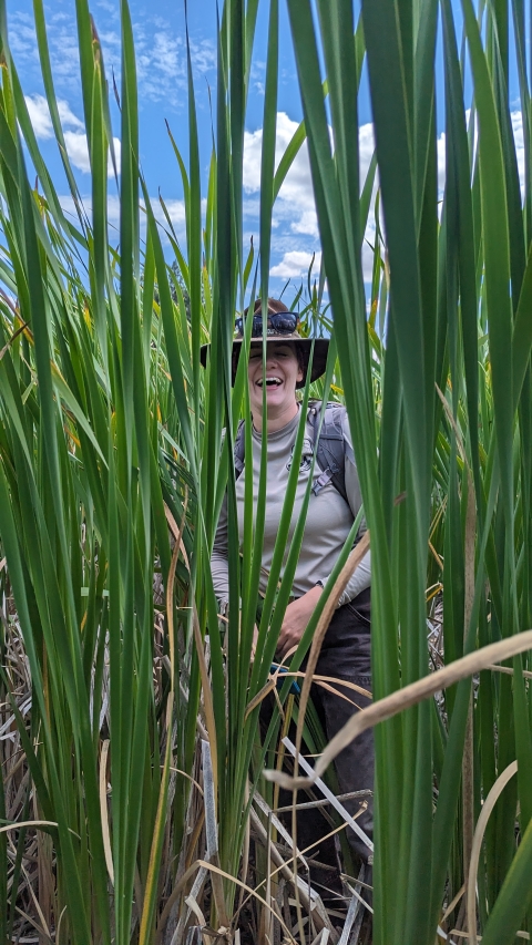 A female biologist smiles from behind some cattails.