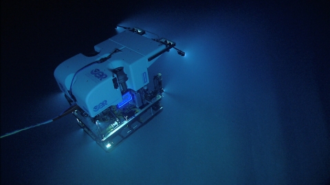 ROV Deep Discoverer investigates a diverse deep-sea coral habitat