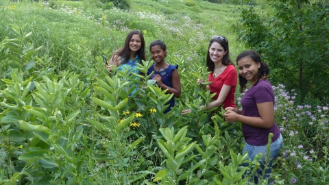 Promoting girls in STEM, girls and biologist stand in a field of milkweed.