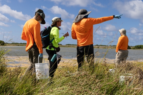 Team members planning their hand broadcasting of bait around catchment