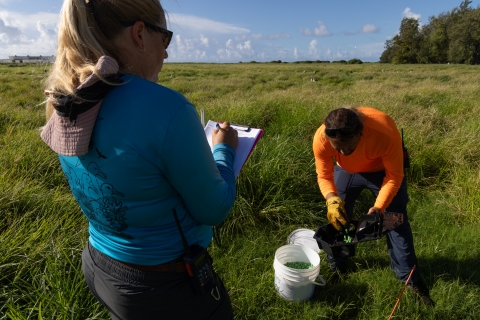  Members of the Island Conservation Team checking bait station