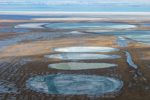 view from above on several lakes within the arctic tundra