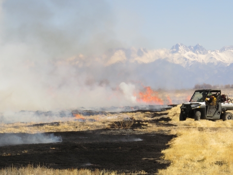 Prescribed burn with fire line attending the line