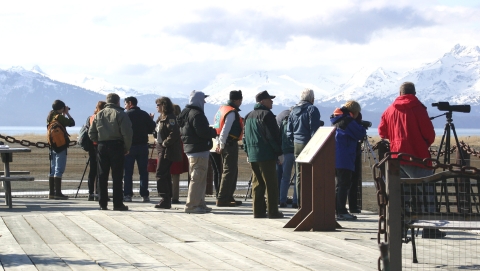 People bird watching on a wooden platform