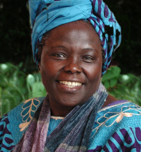 African woman in colorful, blue and purple dress