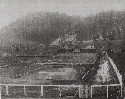 A picture of the original hatchery building at Erwin National Fish Hatchery. The hatchery building is behind many small ponds, and the ponds and the building are surrounded by a white fence.