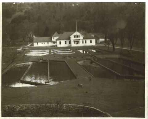 Picture of an old, white rectangular hatchery building. In front of the building are six round ponds and eight rectangular ponds used for rearing fish. 