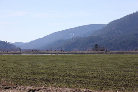 A field is cooperatively farmed on a wildlife refuge