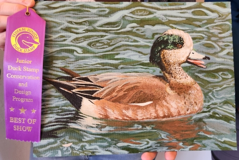 2024 Alaska Jr. Duck Stamp Best of Show with Ribbon