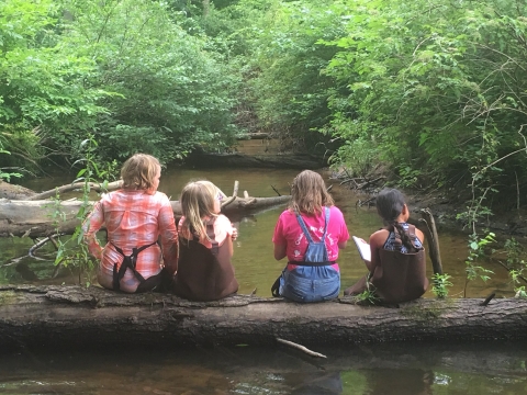 Girls sitting on a log across a stream
