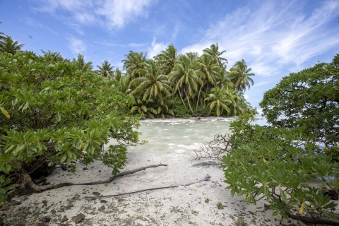Lagoon with low tide at Palmyra Atoll