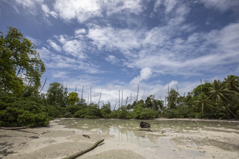 Lagoon at low tide