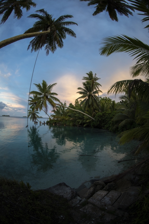 Lagoon at Palmyra Atoll