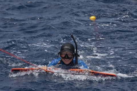 Snorkeler surveying for crown-of-thorns starfish