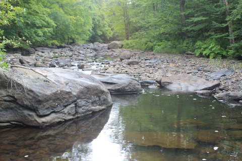 View of a rocky riverbed. 
