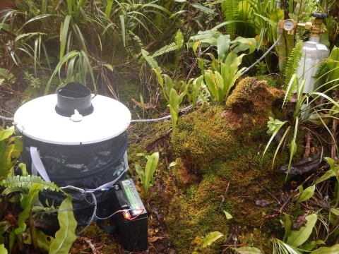A device with a black base and white top connected to a battery sits by a moss covered rock in a Hawaiian forest