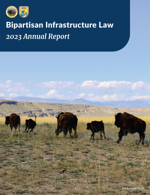 picture of graving bison with text "Bipartisan Infrastructure Law 2023 Annual Report"