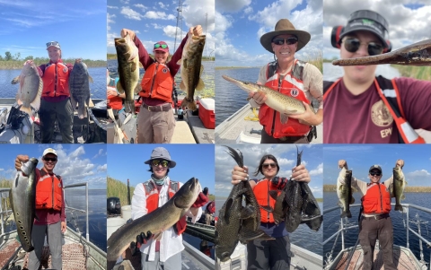 A.R.M. Loxahatchee NWR staff and interns showing off their catches during electrofishing surveys at the Refuge.