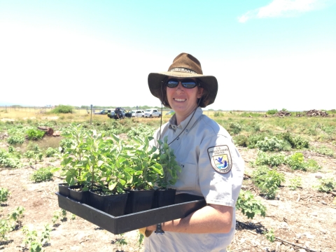 Service employee holds plants with open prairie in the background. 