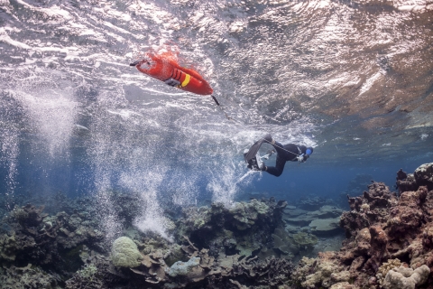 Snorkelers surveying the reef