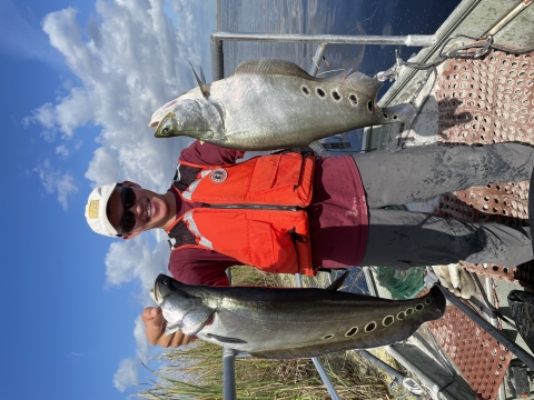 Arthur R. Marshall Loxahatchee NWR intern Ian Jin holding two non-native clown knifefish collected during electrofishing surveys at the Refuge.